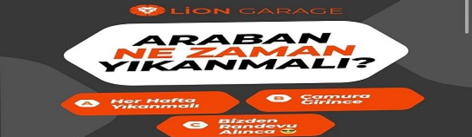 Lion Garage