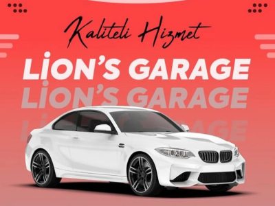 Lion’s Garaj
