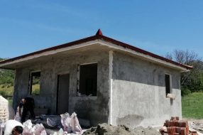 companyProduct