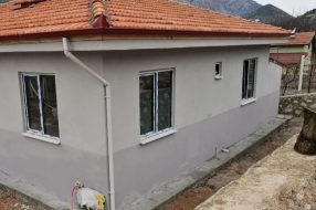 companyProduct