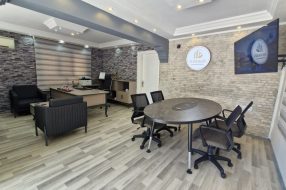 companyProduct