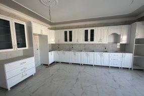 companyProduct