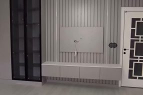 companyProduct