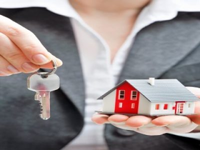 Mçs Yapı İnşaat Emlak