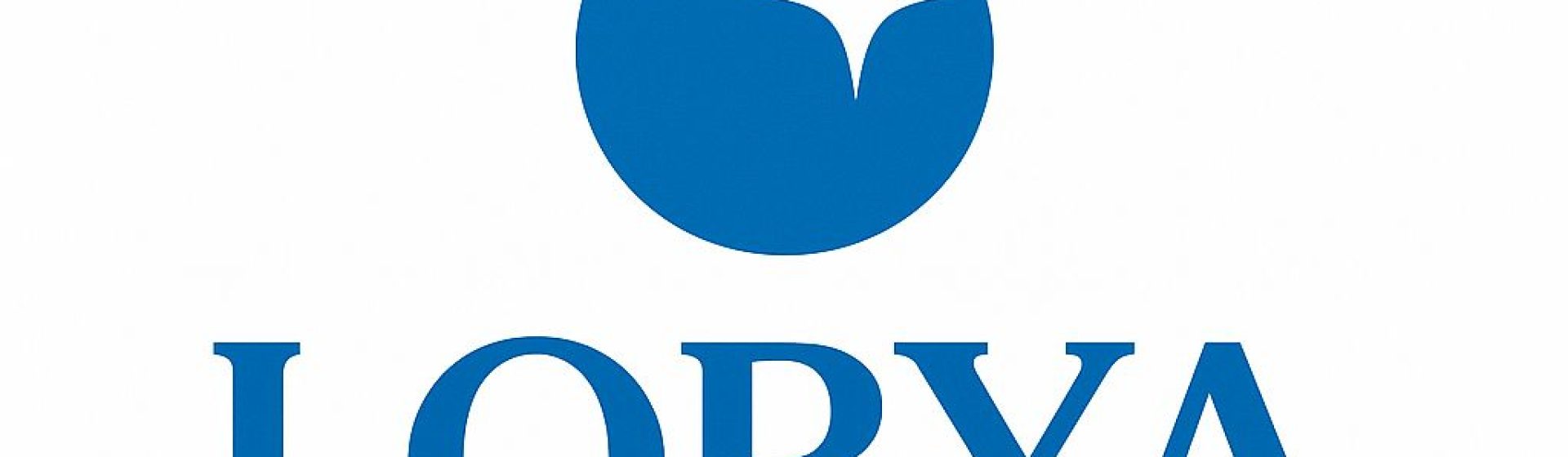 LORYA TEMİZLİK DİYARBAKIR