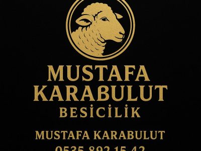 Mustafa Karabulut Besicilik
