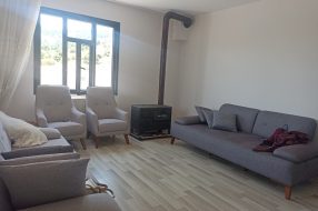 companyProduct