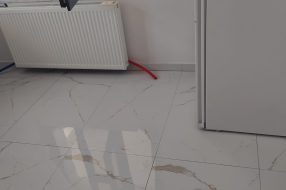 companyProduct