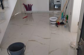 companyProduct