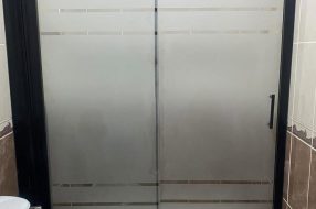 companyProduct