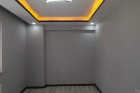 companyProduct