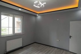 companyProduct