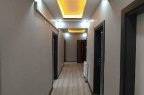 companyProduct