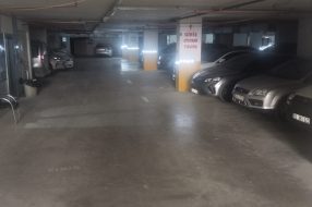 companyProduct