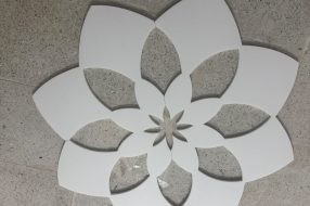 companyProduct