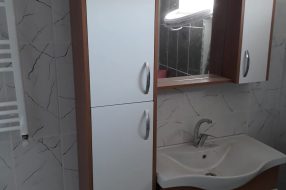 companyProduct