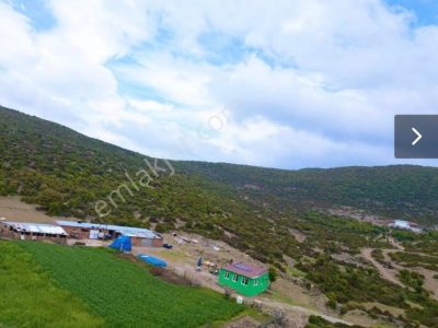 Özkar Yemek Besi Çiftliği
