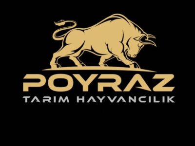 Poyraz Hayvancılık