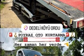 companyProduct