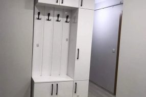 companyProduct