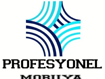 Profesyonel Mobilya