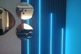 companyProduct