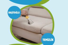 companyProduct