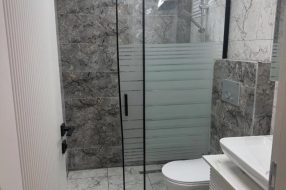 companyProduct