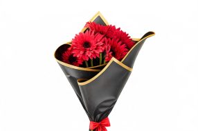 companyProduct