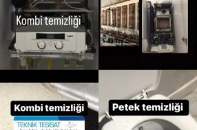 companyProduct