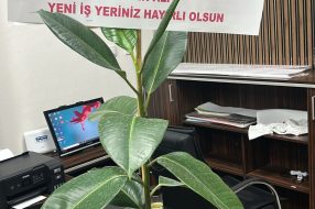 companyProduct
