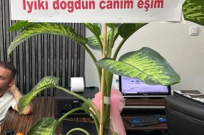 companyProduct