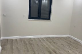 companyProduct