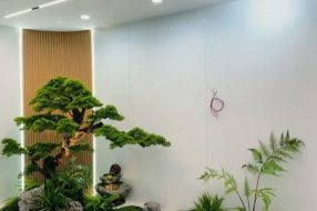 companyProduct