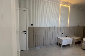 companyProduct