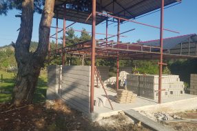 companyProduct