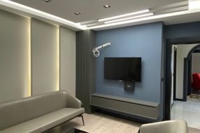 companyProduct