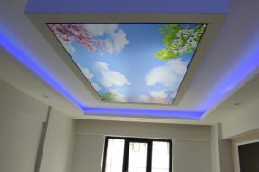 companyProduct