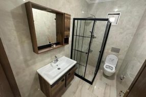 companyProduct