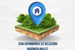 companyProduct
